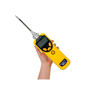 MINIRAE 3000